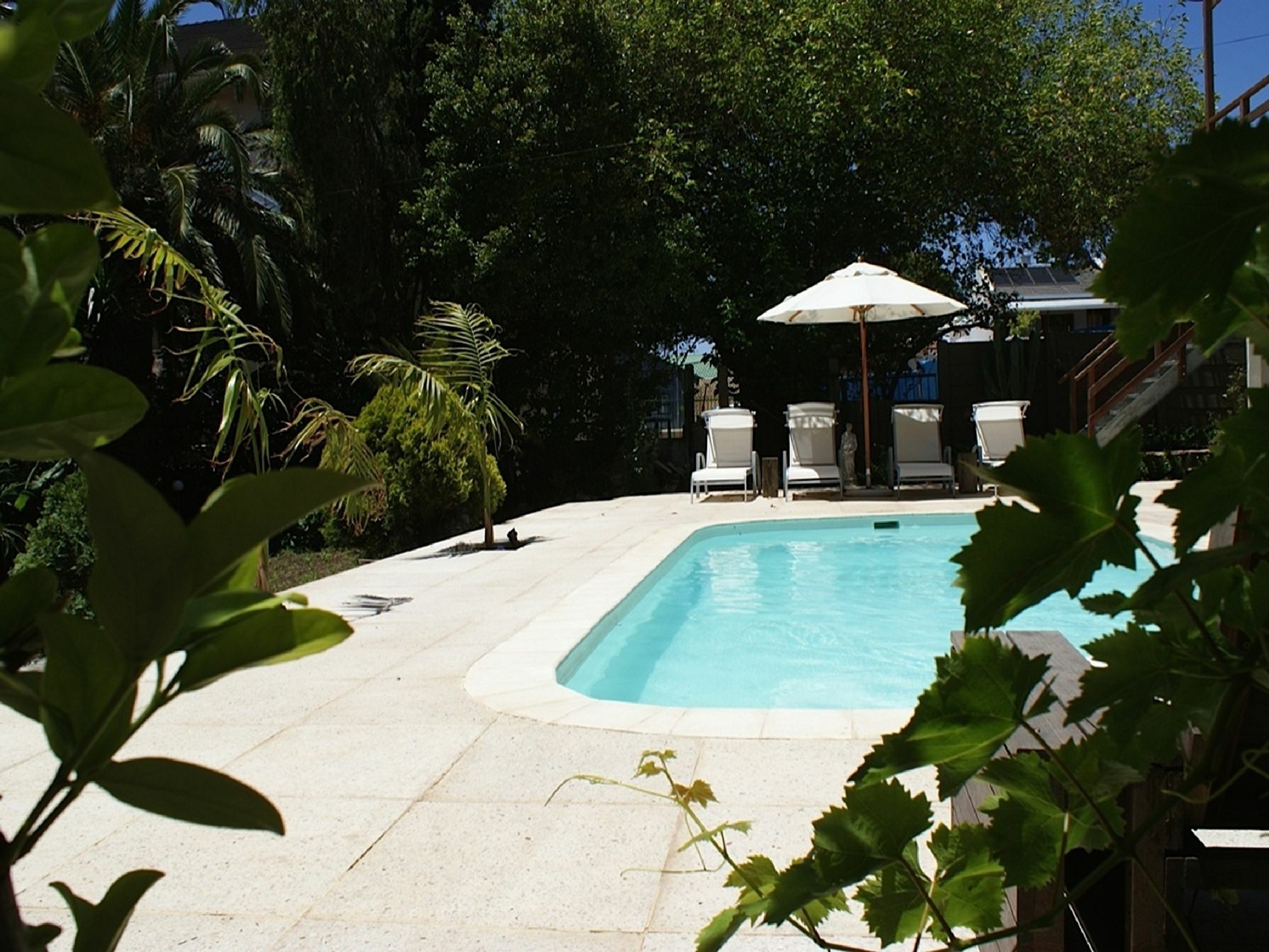 Cape Standard Guest House Cape Town Luaran gambar